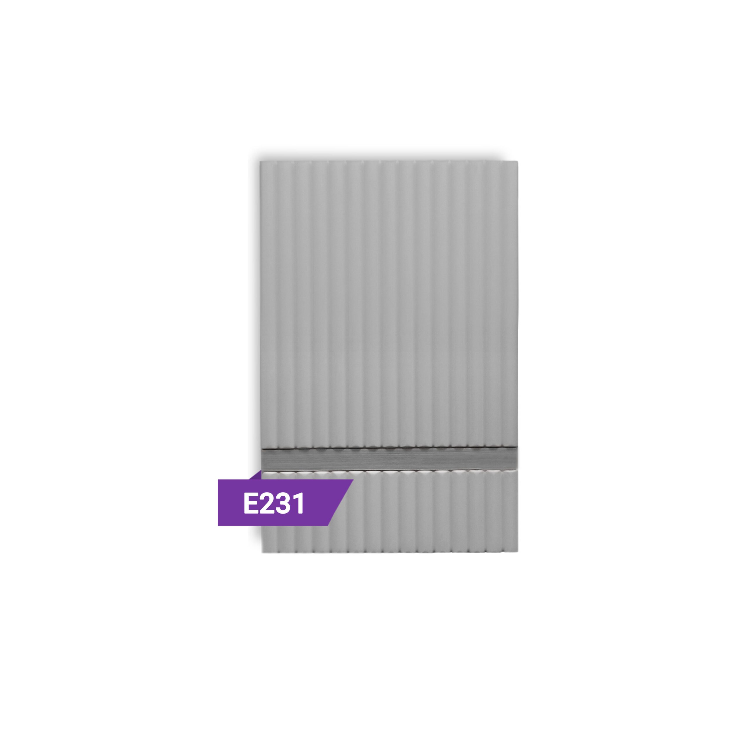 E231b (Silver)